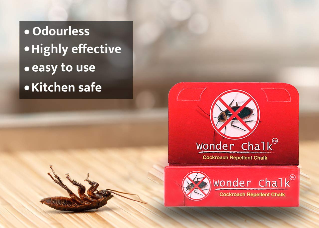 1315 Cockroaches Repellent Chalk Keep Cockroach Away (Pack of 12) - SkyShopy 1315 Cockroaches Repellent Chalk Keep Cockroach Away (Pack of 12) - SkyShopy